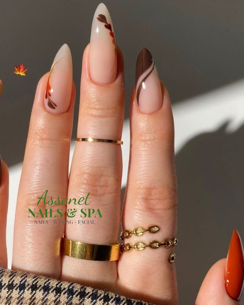 Assonet Spa Logo