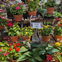 More flower sales