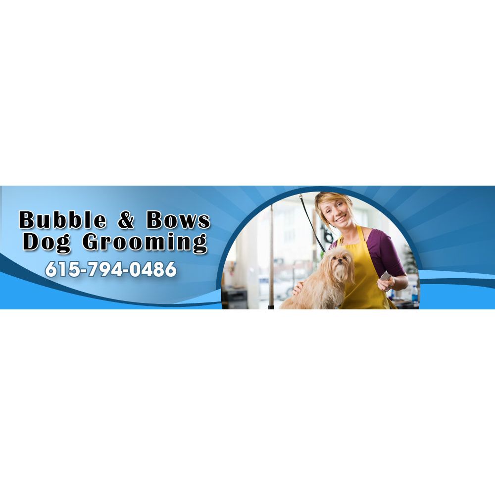 BUBBLE & BOWS DOG GROOMING Updated October 2024 424 Spring View Dr