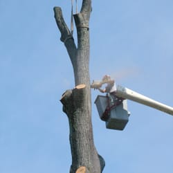 Adams Tree Service, Inc