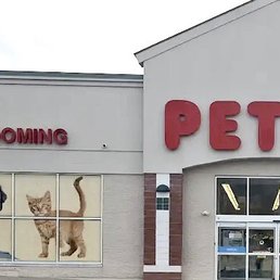 Exterior photo of Petco - Hudson, Massachusetts Exterior photo of Petco - Hudson, Massachusetts