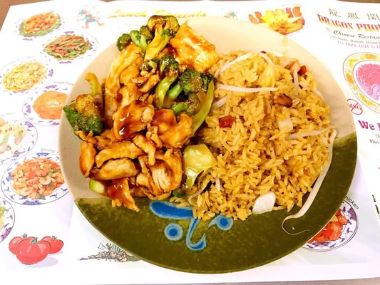 Dragon Phoenix by null