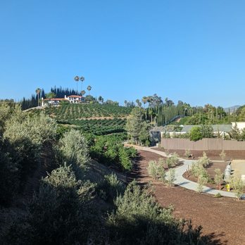 Bolero Restaurante - Tapas/Small Plates Near Me - Temecula, California