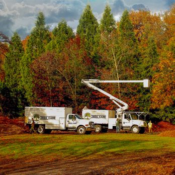 Tree Care Unlimited - www.treecareunlimitedllc.com - Tree Services Near Me - West Linn, Oregon Tree Care Unlimited - www.treecareunlimitedllc.com - Tree Services Near Me - West Linn, Oregon