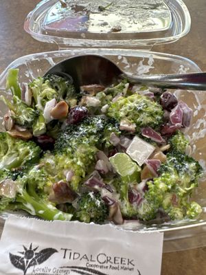 Tidal Creek Co-op by null