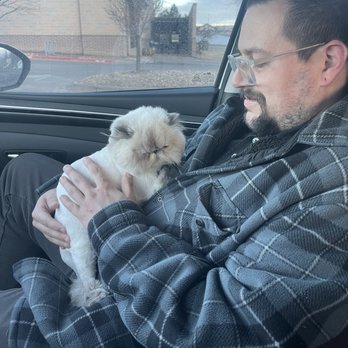 Lone Tree Veterinary Medical Center - Mia nicely shaved :) - Veterinarians Near Me - Lone Tree, Colorado Lone Tree Veterinary Medical Center - Mia nicely shaved :) - Veterinarians Near Me - Lone Tree, Colorado