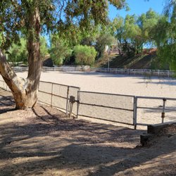 Monteverde Ranch Equestrian Center - The middle arena- massive and equipped with night lights. All the arenas are.