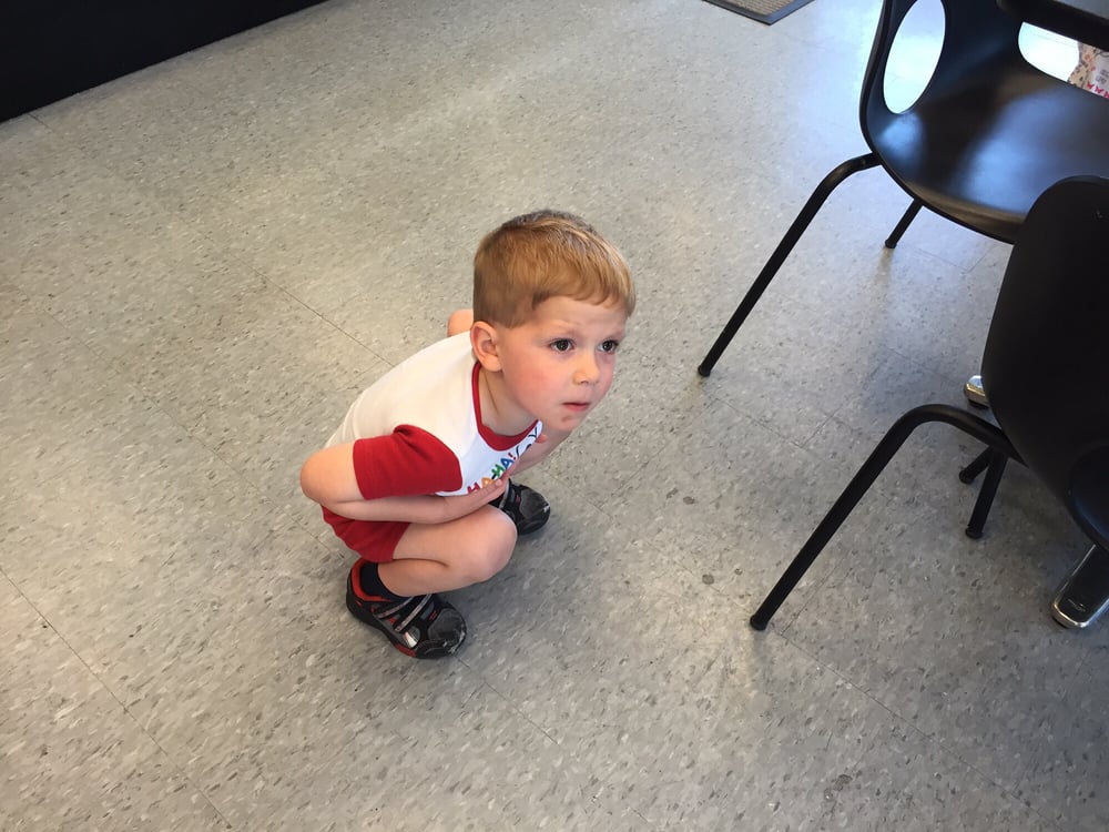 LITTLE YELPERS CLUB PAJAMA PARTY WITH JACK’S DONUT Updated May 2024