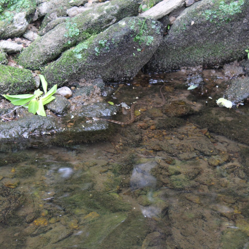 Pennypack Park - Parks Near Me - Philadelphia, Pennsylvania Pennypack Park - Parks Near Me - Philadelphia, Pennsylvania