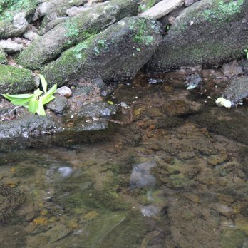 Pennypack Park - Parks Near Me - Philadelphia, Pennsylvania Pennypack Park - Parks Near Me - Philadelphia, Pennsylvania