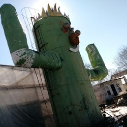 The Cactus King
