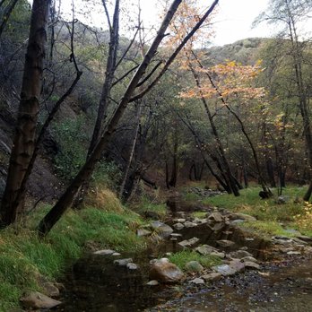 Wheeler Gorge Campground - Campgrounds Near Me - Ojai, California