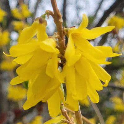 University of Alaska Anchorage by null