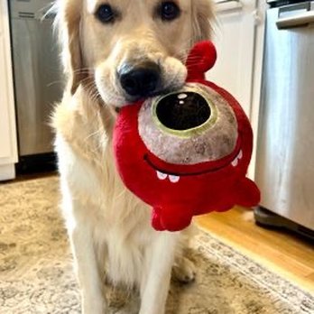 Dig - Pet Stores Near Me - Richmond, Virginia