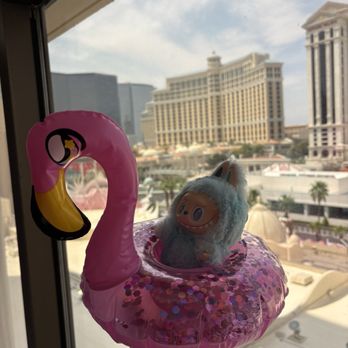 Flamingo Las Vegas - Hotels Near Me - Las Vegas, Nevada Flamingo Las Vegas - Hotels Near Me - Las Vegas, Nevada