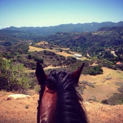 Fair Hills Farms
