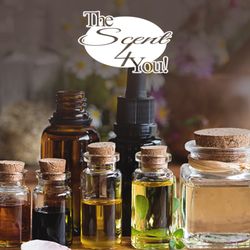 The Scent 4 You - OILS - THE SCENT 4
