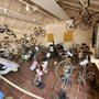 Brooklands Museum