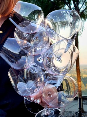 Furioso Vineyards by null