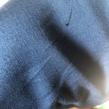 Holiday Cleaners - Pen mark - Dry Cleaning Near Me - Milpitas, California Holiday Cleaners - Pen mark - Dry Cleaning Near Me - Milpitas, California