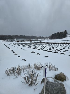 Brys Estate Vineyard & Winery by null