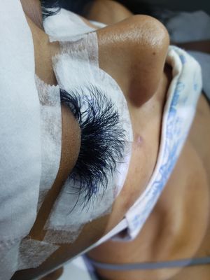 Virtue Lash by null