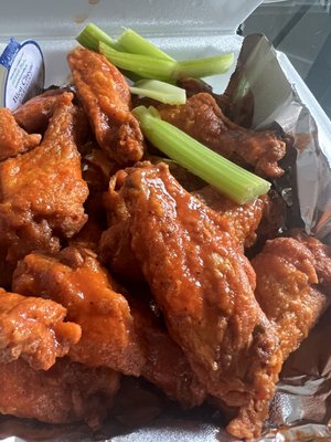 Atlanta Wings by null