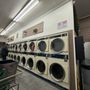 Photo of Laundry Bee