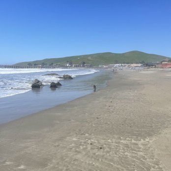 Bella Vista By The Sea - View of the park looking up from the sea - Hotels Near Me - Cayucos, California