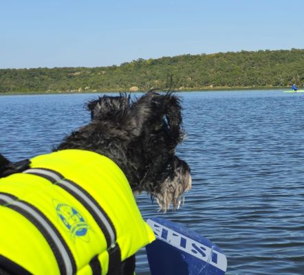 Lake Mineral Wells State Park by null