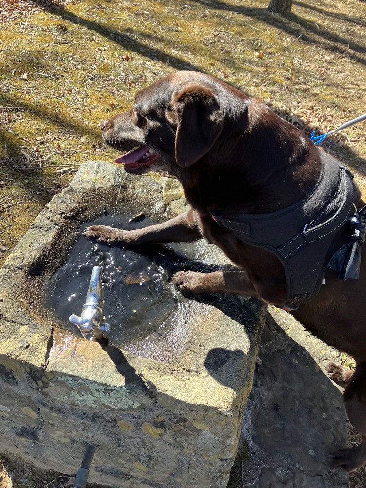 Social spots from Glenwood Recreational Park