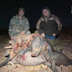 Pig Problem