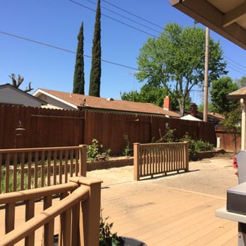 Doug Petersen Tree Service - orange tree after - Tree Services Near Me - Sacramento, California Doug Petersen Tree Service - orange tree after - Tree Services Near Me - Sacramento, California