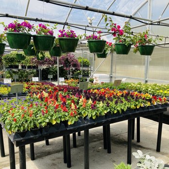 Country Corner - Country Corner Greenhouse - Nurseries & Gardening Near Me - Roanoke, Virginia Country Corner - Country Corner Greenhouse - Nurseries & Gardening Near Me - Roanoke, Virginia