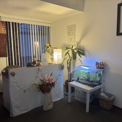Pacific Shell Massage