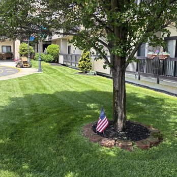 Tony Pro’s Landscaping - Detailed Stripe Work - Lawn Services Near Me - Galloway, New Jersey