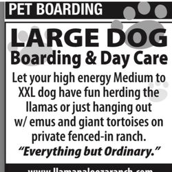 Llama Palooza Ranch and Pet Boarding - Your dogs will love it!!