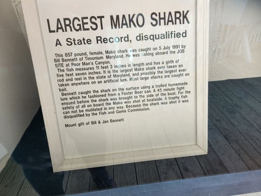 Ocean City Life-Saving Museum by null