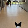 Photo of Norfolk Veterinary Branch