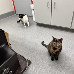 St. Charles Animal Hospital