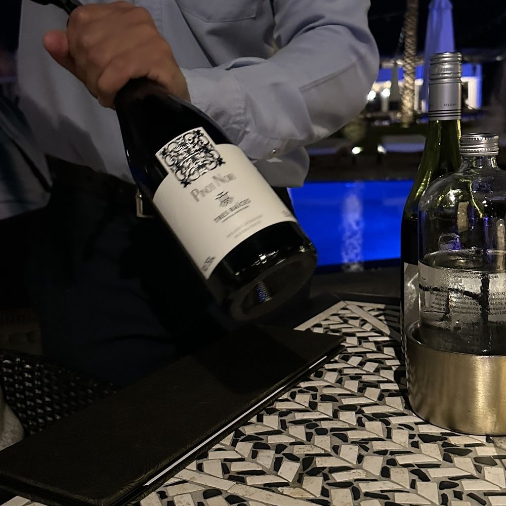 Vela - Mexican pinot noir i got to try- it's spicyyy - Italian Near Me - Cabo San Lucas, BCS