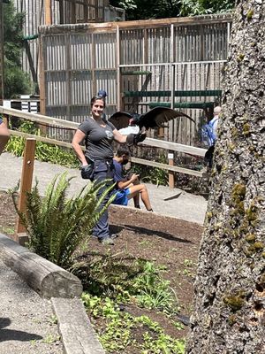 Cascades Raptor Center by null