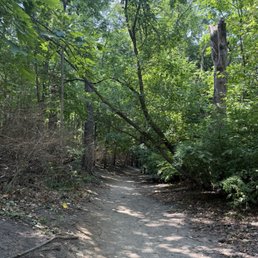 Hiking trail in the nature reserve. Hiking trail in the nature reserve.