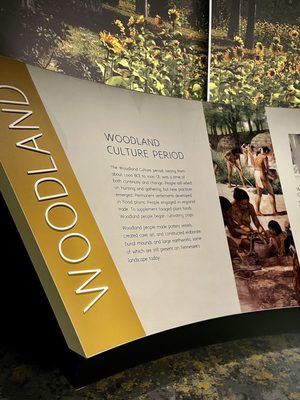 Tennessee State Museum by null