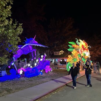 Elite Experience: Dragon Lights Reno - Entrance - Yelp Events Near Me - Reno, Nevada