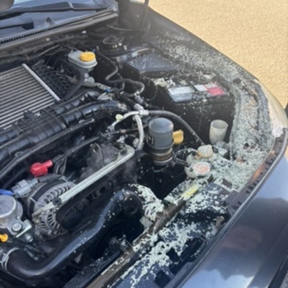 Fox Preowned - Literally exploded if I had done this or opened my hood at the wrong time I would've gotten 3rd degree burns all myself. - Used Car Dealers Near Me - Carson City, Nevada Fox Preowned - Literally exploded if I had done this or opened my hood at the wrong time I would've gotten 3rd degree burns all myself. - Used Car Dealers Near Me - Carson City, Nevada