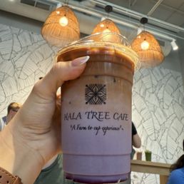 'Uala Latte 'Uala Latte