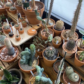 Plant Shop Chicago - So many plants - Nurseries & Gardening Near Me - Chicago, Illinois Plant Shop Chicago - So many plants - Nurseries & Gardening Near Me - Chicago, Illinois