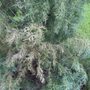 Aventura Nursery & Landscape