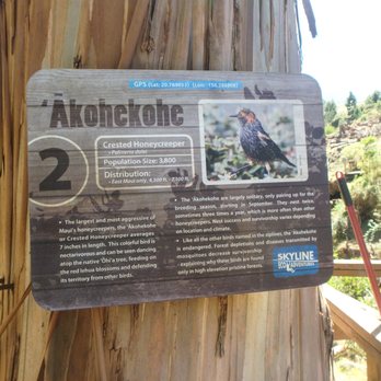 Skyline Hawaii - Tours Near Me - Kula, Hawaii Skyline Hawaii - Tours Near Me - Kula, Hawaii